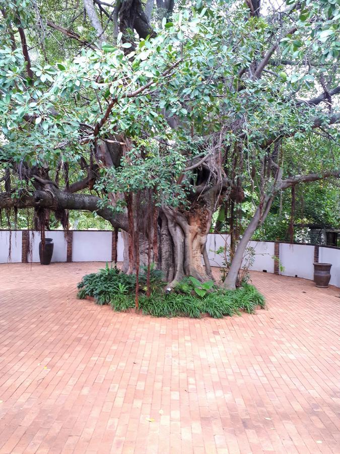 Bush Lovers Lodge موديمول المظهر الخارجي الصورة